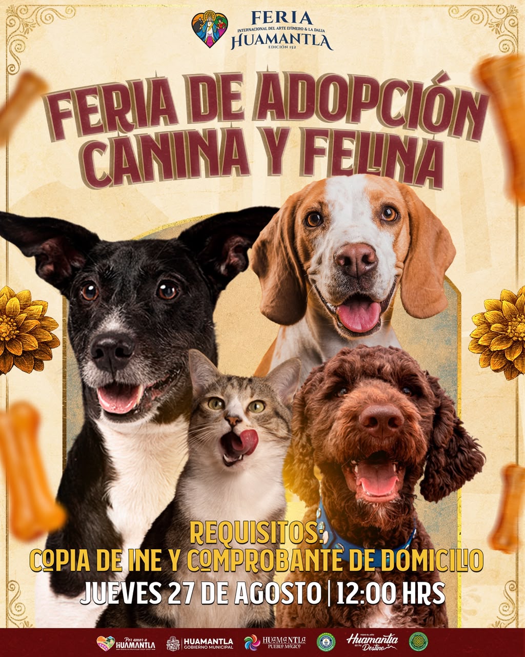 Feria Internacional del Arte Efímero y de la Dalia suma una jornada de amor y bienestar animal